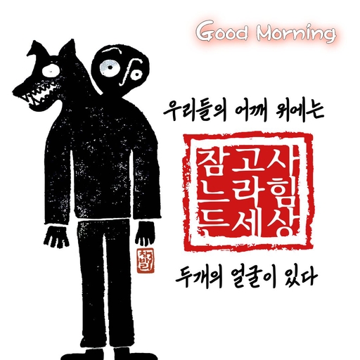 피드 이미지