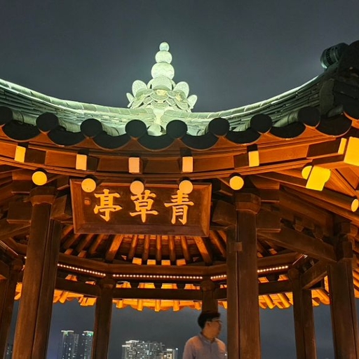 피드 이미지