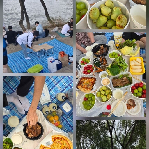 피드 이미지