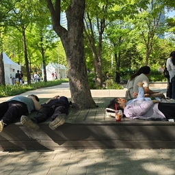 피드에 업로드 된 이미지