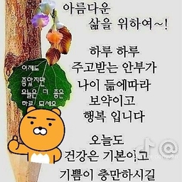 ํผ๋์ ์
๋ก๋ ๋ ์ด๋ฏธ์ง