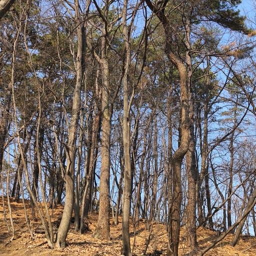 피드 이미지