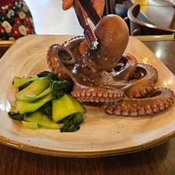 피드에 업로드 된 이미지