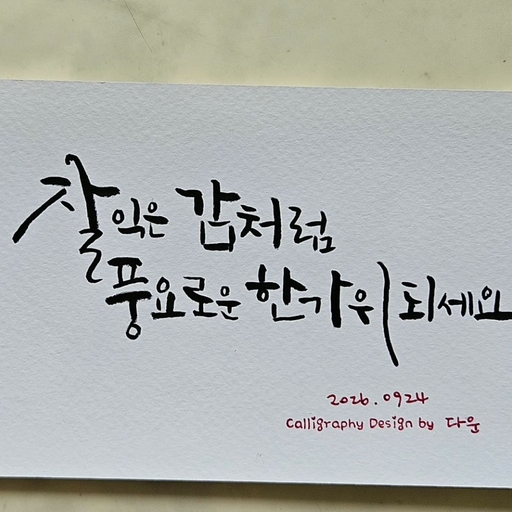 피드 이미지