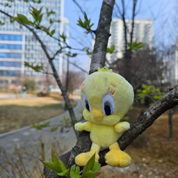피드에 업로드 된 이미지
