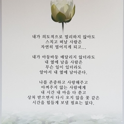 피드에 업로드 된 이미지