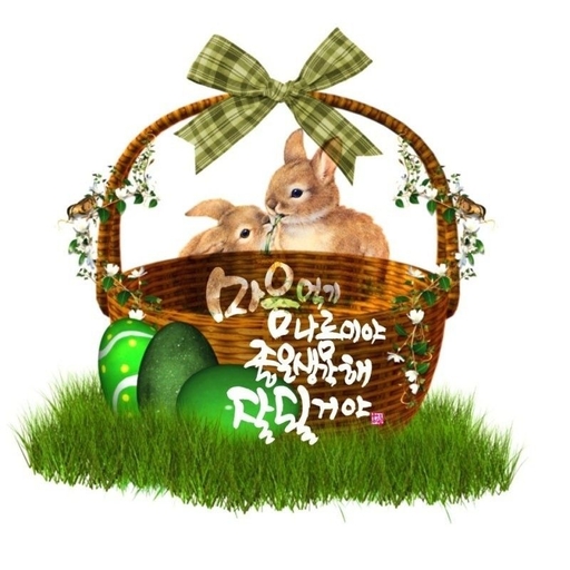 피드 이미지