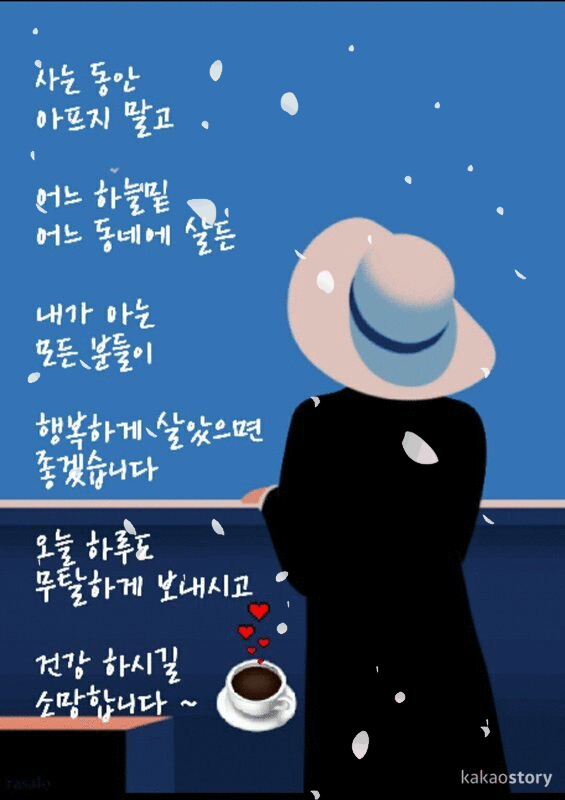 피드 이미지