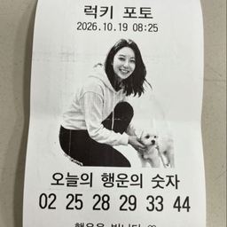 피드에 업로드 된 이미지