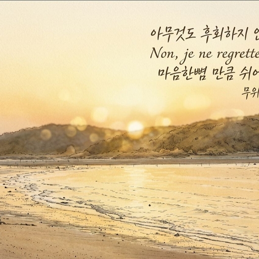 피드 이미지