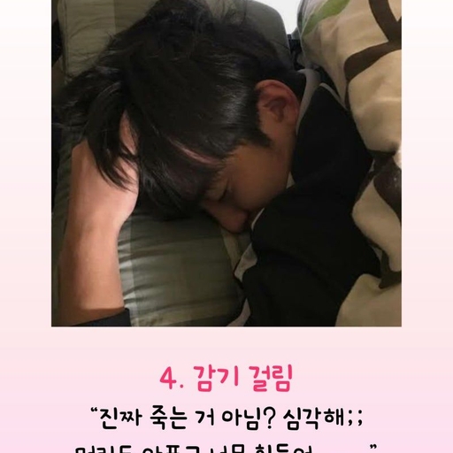 피드 이미지