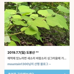 피드에 업로드 된 이미지
