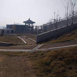 피드에 업로드 된 이미지