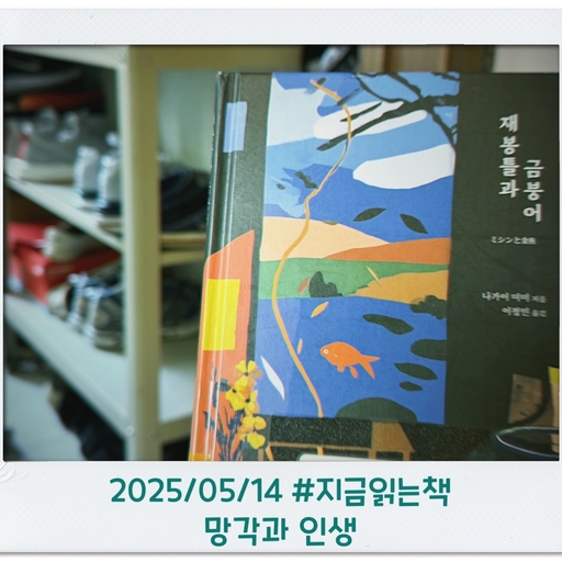 피드 이미지