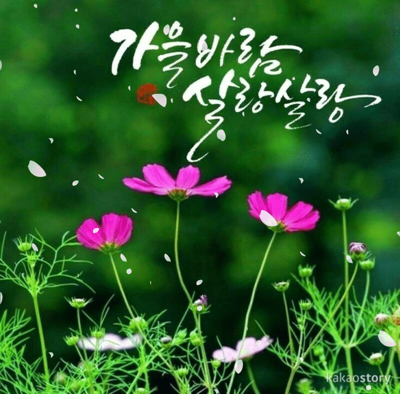 모임 이미지