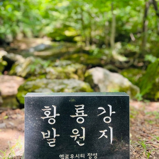 피드 이미지
