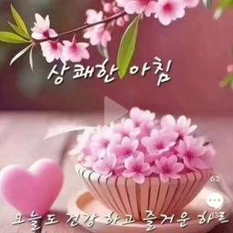 피드에 업로드 된 이미지