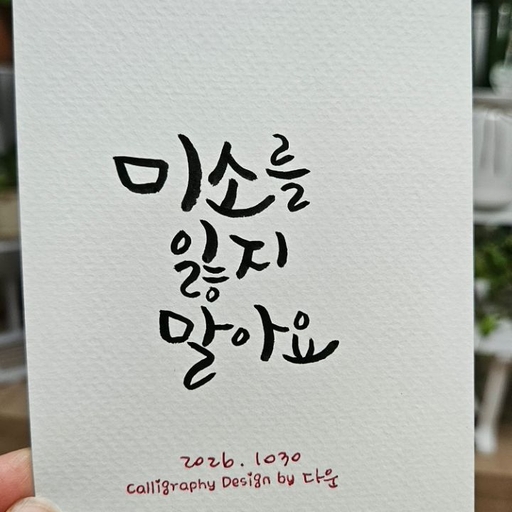 피드 이미지