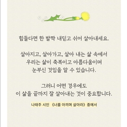 피드에 업로드 된 이미지