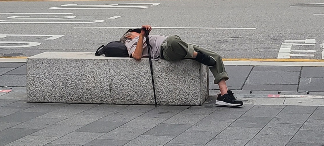 피드 이미지