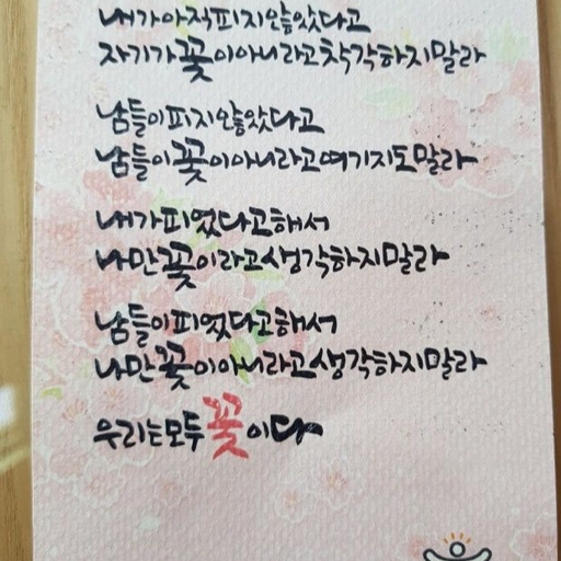 피드 이미지