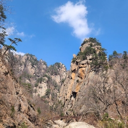 피드에 업로드 된 이미지