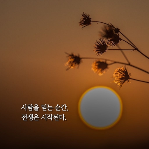 피드 이미지