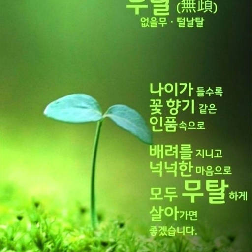 피드 이미지