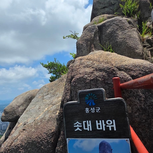 피드 이미지
