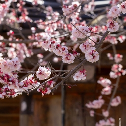 피드에 업로드 된 이미지