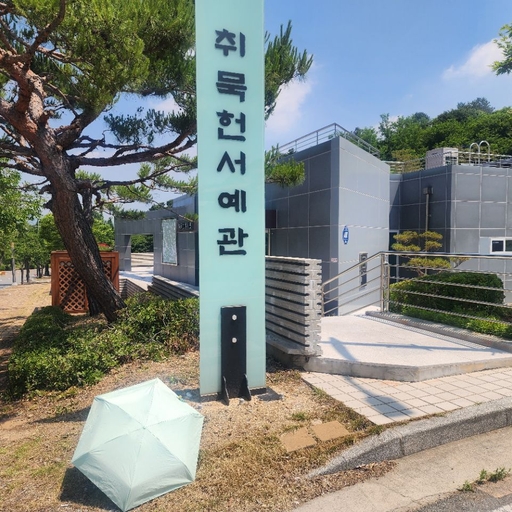 피드 이미지