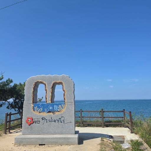 피드 이미지