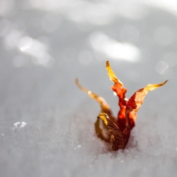 피드에 업로드 된 이미지