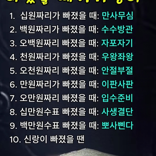 피드 이미지