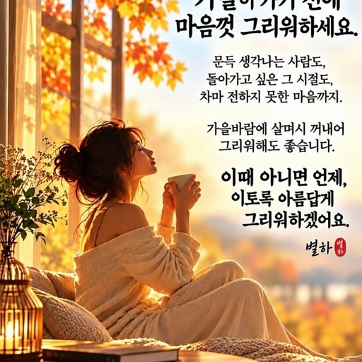 피드 이미지
