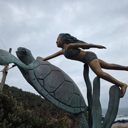 피드에 업로드 된 이미지