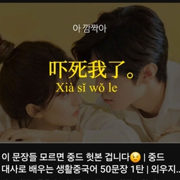 피드에 업로드 된 이미지