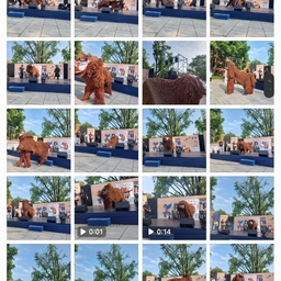 피드에 업로드 된 이미지