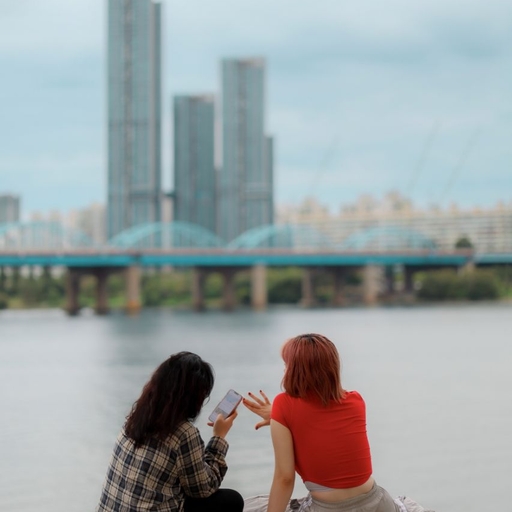 피드 이미지