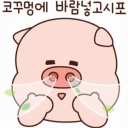 멤버 프로필