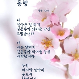 ํผ๋์ ์
๋ก๋ ๋ ์ด๋ฏธ์ง