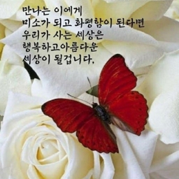 피드에 업로드 된 이미지