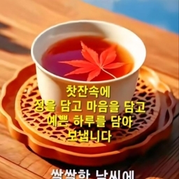 피드에 업로드 된 이미지