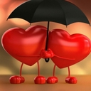 공지사항 작성자 프로필