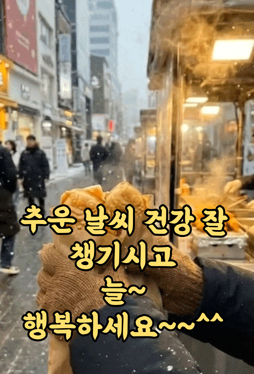 피드 이미지