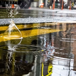 피드에 업로드 된 이미지