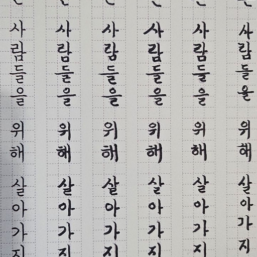 피드 이미지