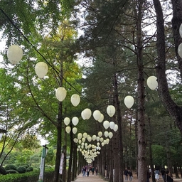 피드에 업로드 된 이미지