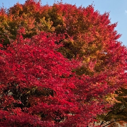 피드에 업로드 된 이미지