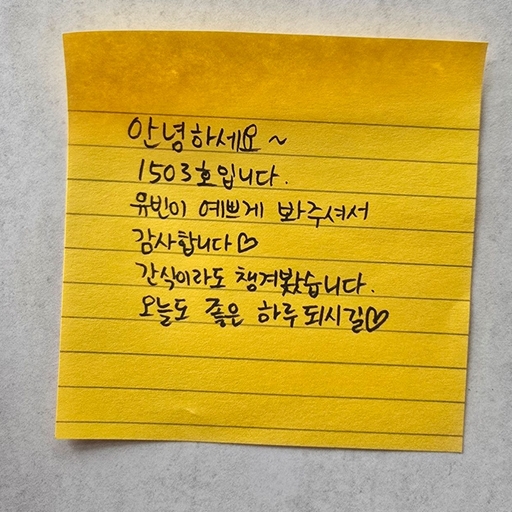 피드 이미지